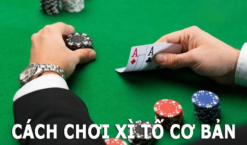 Hướng dẫn cách chơi xì tố cho newbie