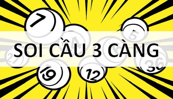 Số 3 Càng Và Cách Dự Đoán Chuẩn Xác Cược Thủ Nên Bỏ Túi